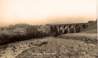 One of many images of the viaduct taken by celebrated local photographer Walter Percy Collier.